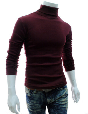 

Mens Winter Slim Warm Pullover Fit Turtleneck Knit Top Coat Knitwear Sweater