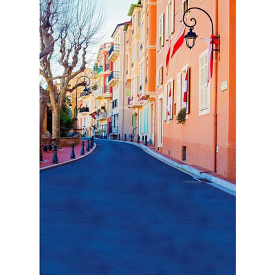 

Blue Road Photo Backdrop 57FT Vinyl Fabric Cloth Digital Printing Photo Background s-713