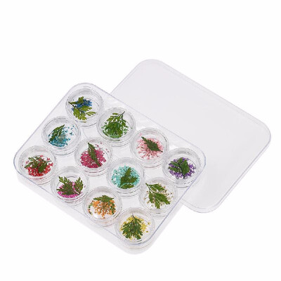 

3D Real Dried Flower Decorations For UV Gel 12 Grids Nail Art Tips Manicure Nail Stickers 3D Nail Art Beauty
