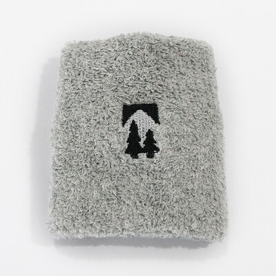

ALPINT MOUNTAIN Elmont outdoor sports breathable men&women badminton towel designer wrist sweat sweat sweat fitness wristband 610-046 gray code a pair of installed