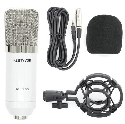 

BM-700 Wired Microphone Condensador Profissional bm 700 Black 35mm Jack Mic with Shock Mount for Computer Microphone