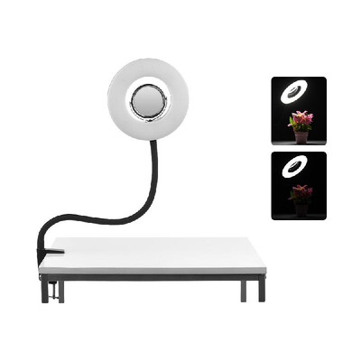

Tabletop 8inch 5500K LED Ring Video Light 24W Dimmable Fill Light with Makeup Mirror Deskclip Bendable Pole for Photo Live Video