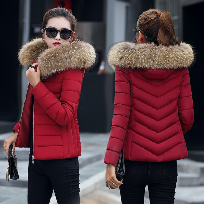 

2018 winter womens hooded Slim thin cotton coat large fur collar cotton jacket