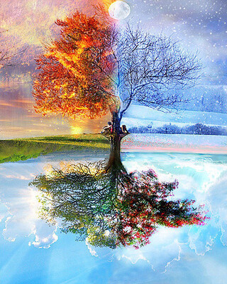 

Frameless Trees Oil Painting for Home Decoration Diy Painting by Numbers Kit for Adults - 4 Season Trees