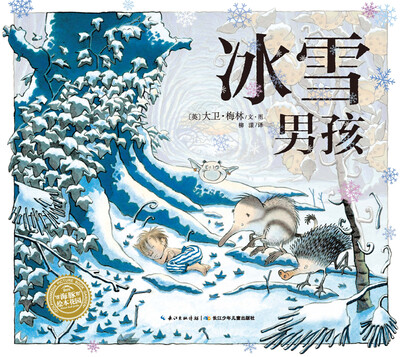 

海豚绘本花园冰雪男孩