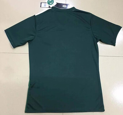 

New 2018 Mexico Soccer Jersey Home 1718 Green Away White CHICHARITO Camisetas de futbol HLOZANO GDOS SANTOS AGUARDADO football