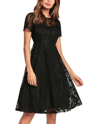 

Sheer Lace Pleated O Neck Short Sleeve High Waist Swing Dress