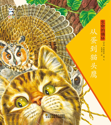 

生命的循环·从蛋到猫头鹰