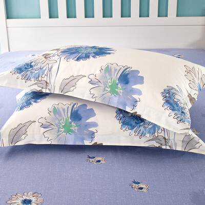 

Аинг Ксин хлопок саржа печати высокой плотности подушка подушка 48 * 74см мешки с Зхонг Ксия спящую красавицу