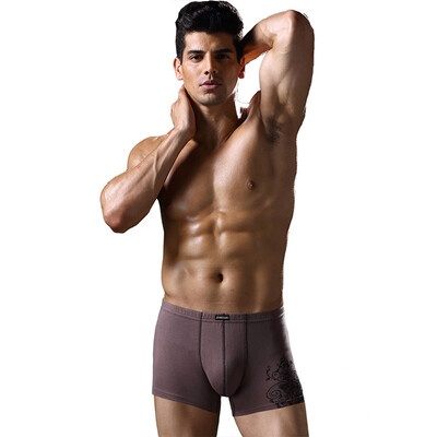 

jianjiang mens underwea