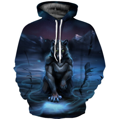 

Mens Hoodie 3D Printed Women Pullover Sweater