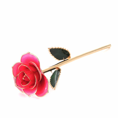 

Gifts for Her Single Pink 24K Goldden Real Rose Dipped Flower Love Forever Long Stem with Thorns Foil Trim Dipped in Gold for Wedd