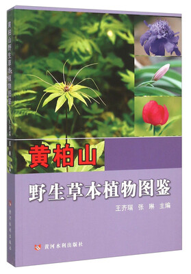 

黄柏山野生草本植物图鉴