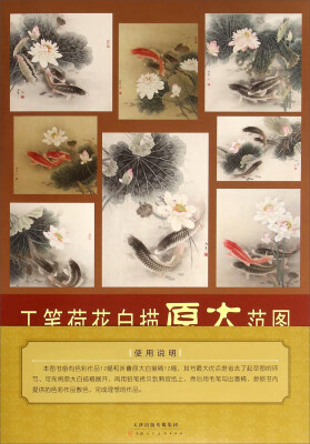 

工笔荷花白描原大范图