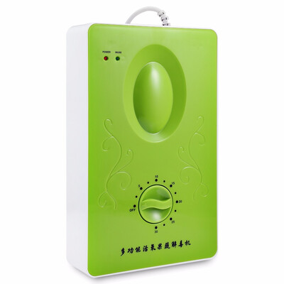 

Multifunctional Ozone Generator Air Purifier Fruit Vegetable Sterilizer Decompose residual hormones&antibiotics in meat