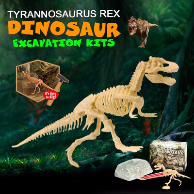 

Ultimate Dinosaur Science Kit–Dig Up Dinosaur And Assemble a T-Rex Skeleton - Small