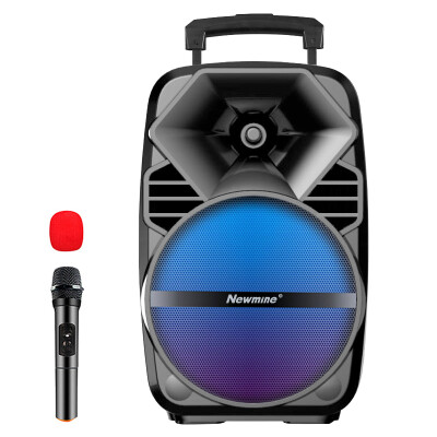 

Newman BW-280 Lever Speaker Outdoor Family Conference Square Dance Sound High Power Voice Broadcast Bluetooth Card Speaker with Wireless Microphone