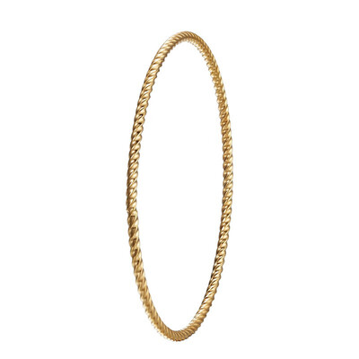 

Thin Iron Wire Twisting Circles Stainless Steel Bangle