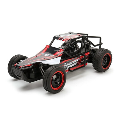 

1701 110 24G 2WD 28kmh Fast Speed Off-road RC Car