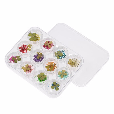 

3D Real Dried Flower Decorations For UV Gel 12 Grids Nail Art Tips Manicure Nail Stickers 3D Nail Art Beauty