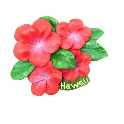 

1Pcs Creative Red Hibiscus in Hawaii United States USA 3D Resin Souvenir Fridge Magnet Home Decoration