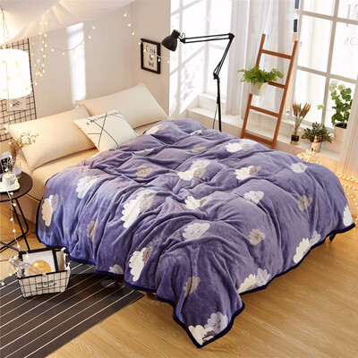 

The New Mink Blankets Thick Warm Blanket For Spring And Winter Single And Double Dorm Bed Flannel Blanket