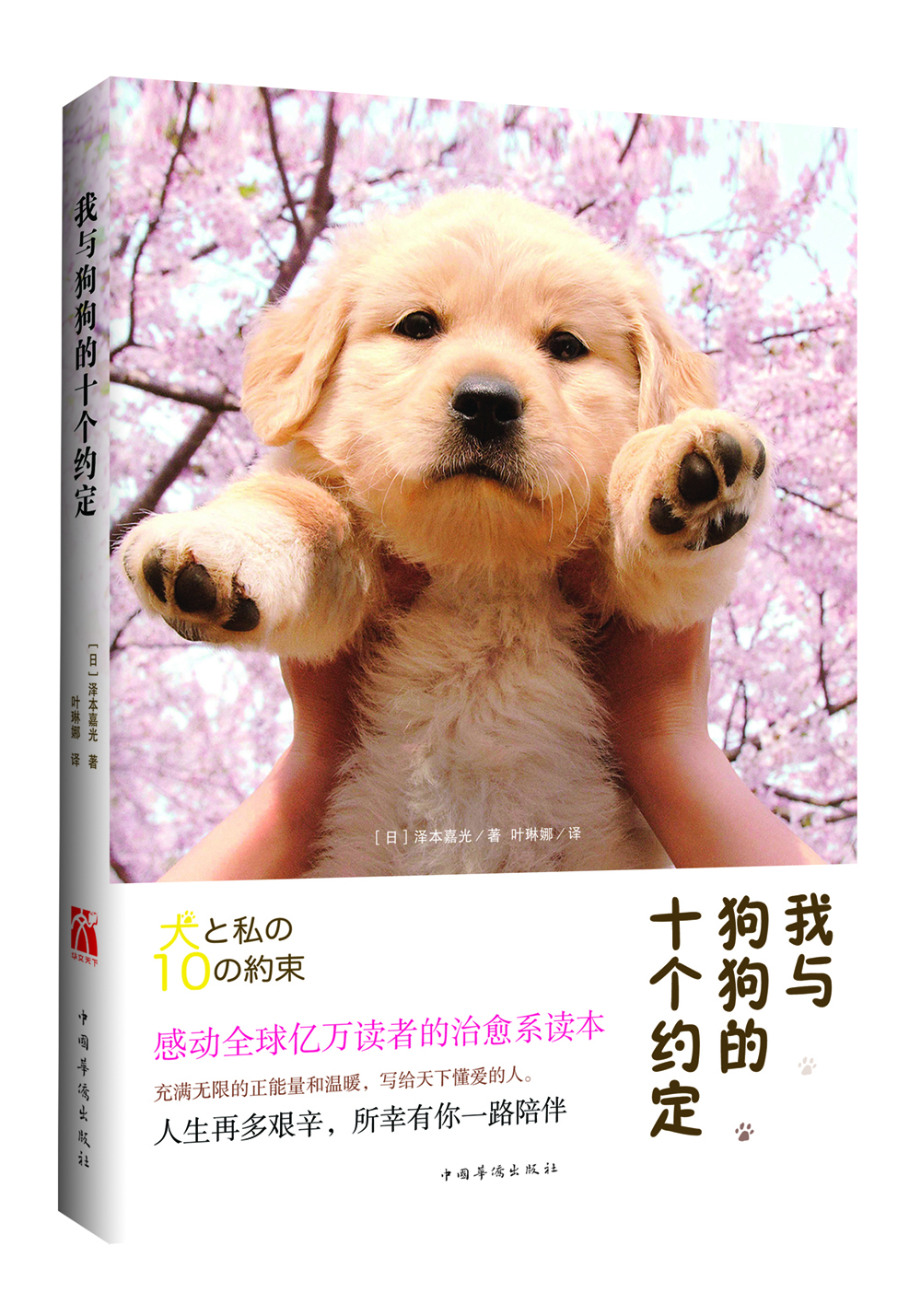 

我与狗狗的十个约定