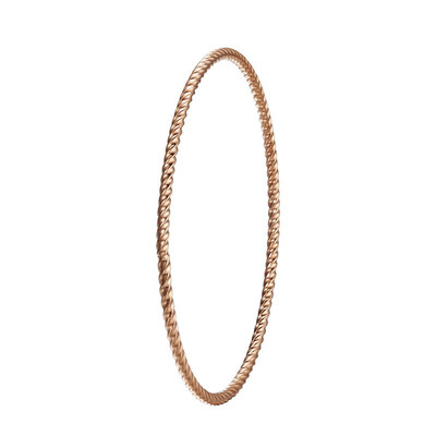 

Thin Iron Wire Twisting Circles Stainless Steel Bangle
