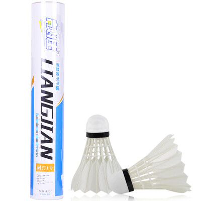 

Довольно хорошее сопротивление бадминтону гусиного пера для борьбы с 1-й 1 трубой 12 установлено