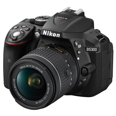 

Nikon (Nikon) D5300 SLR комплект (AF-P DX Nikkor 18-55mm F / 3.5-5.6G VR) Black