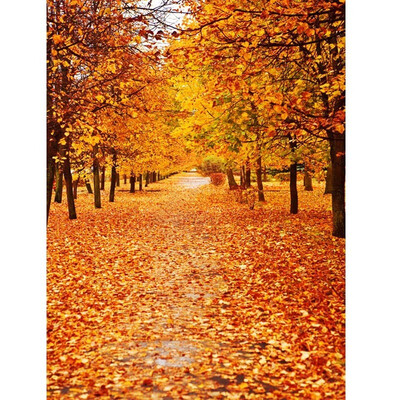 

Golden Leaves All Photo Backdrop 57FT Vinyl Fabric Cloth Digital Printing Photo Background s-601