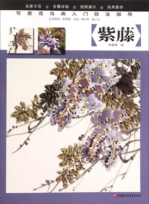 

写意花鸟画入门技法指导：紫藤