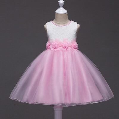 

Summer Style Flower Girl Dress Childrens Lace Princess Dress Mesh Dress Sleeveless Flower Party Ball Gown
