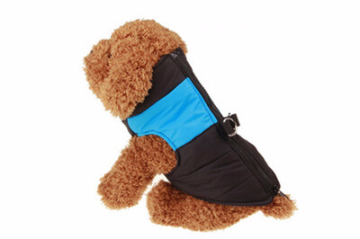 

Dog Clothes For Small Dogs Winter Puppy Chihuahua Pet Dog Clothes Waterproof Medium Large Dog Coat Jacket Ropa Para Perros S-5XL