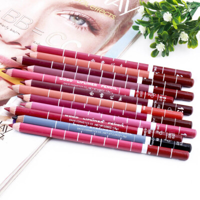 

New 12 PCS Professional Lipliner Waterproof Lip Liner Pencil 15CM