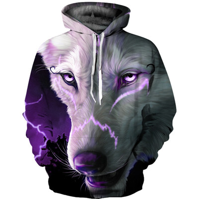 

QL-583 Mens Hoodie 3D Printed Women Pullover Sweater