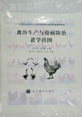 

中等职业教育农类专业国家规划教材配套教学挂图：禽的生产与疫病防治教学挂图