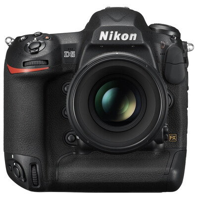 

Nikon (Nikon) D5 (XQD версия)