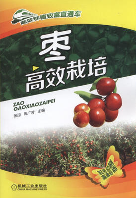 

枣高效栽培