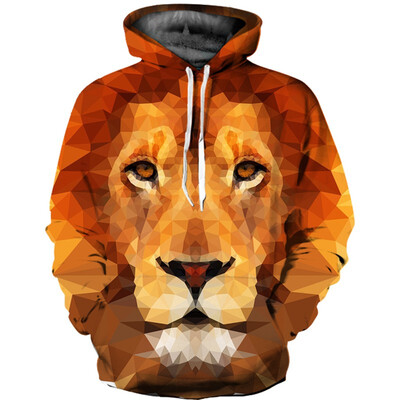 

QL-513 Mens Hoodie 3D Printed Women Pullover Sweater