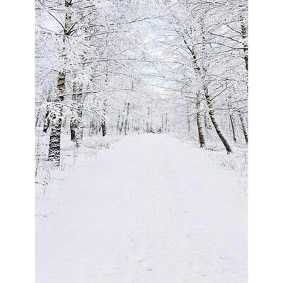 

Xmas Forest Snow Photo Backdrop 57FT Vinyl Fabric Cloth Digital Printing Photo Background st-588