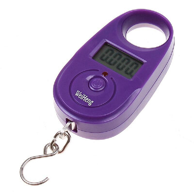 

Mini Digital Scale