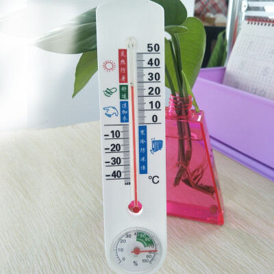 

Bingyou wall-mounted thermometer&hygrometer agricultural farming vegetable greenhouse temperature&humidity instrument