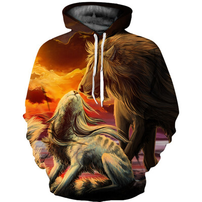 

QL-496 Mens Hoodie 3D Printed Women Pullover Sweater