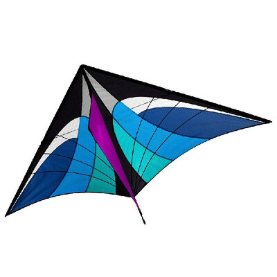 

160 x 90cm 63 x 355in Large Delta Kite Outdoor Sport Single Line Flying Kite