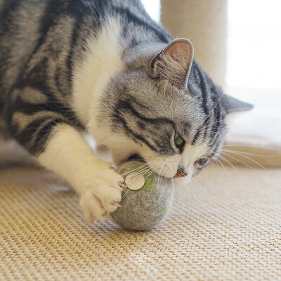 

Dipper pet cat toy kitten into cat cat mint wool ball capsule funny cat toy funny cat bar mint ball wool ball cat toy