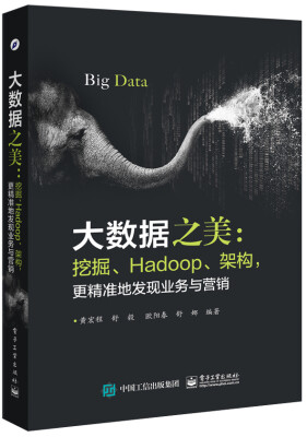 

大数据之美：挖掘、Hadoop、架构，更精准地发现业务与营销