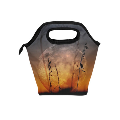 

Insulated Lunch Tote Bag Artistic Earth Travel Picnic Lunch Handbags Portable Zipper Lunch Bag Box