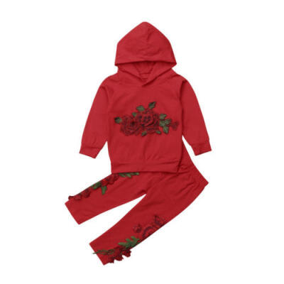 

Embroidery Toddler Kids Baby Girl Hooded Top Long Pants Outfit Clothes Tracksuit