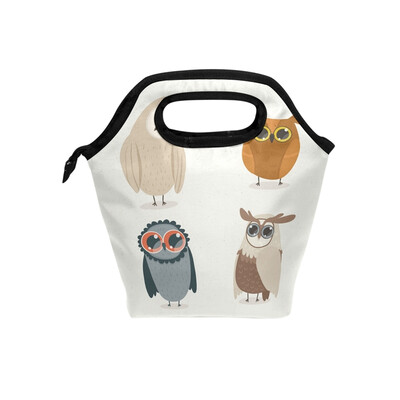 

Lunch Tote Bag Qwl Party Travel Picnic Insulated Lunch Handbags Portable Zipper Lunch Bag Box